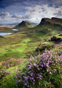 scotland, heather, skye
